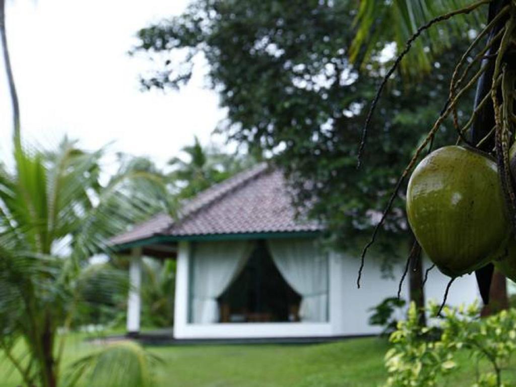 Brook Boutique Hotel Melsiripura Exterior photo