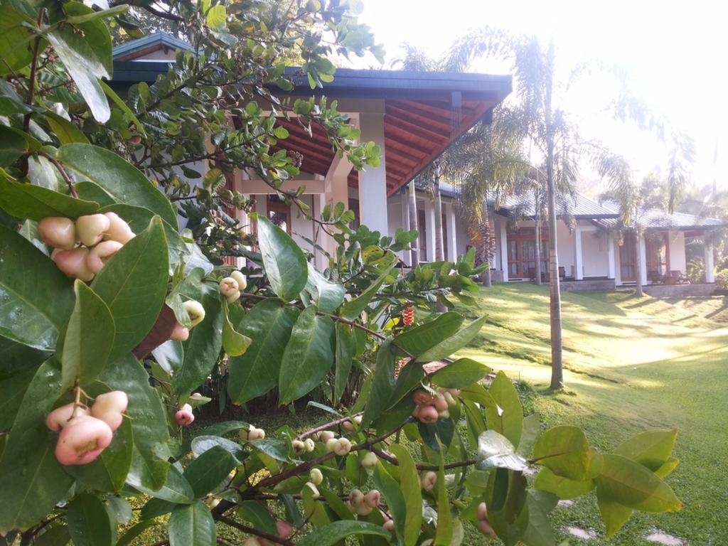 Brook Boutique Hotel Melsiripura Exterior photo